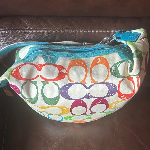 Coach Hampton Scribble Hobo bag - Picture 5 of 11